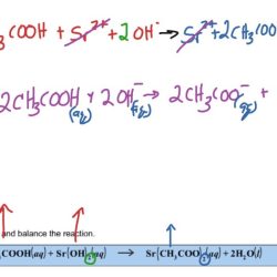 Acid hypochlorous hypochlorite formula ion hocl