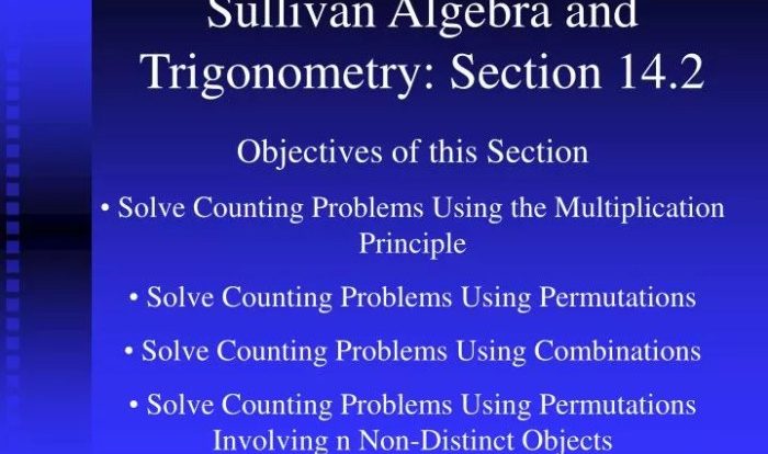 Sullivan algebra and trigonometry 11th edition