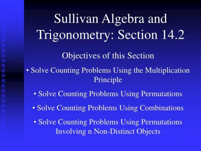 Sullivan algebra and trigonometry 11th edition