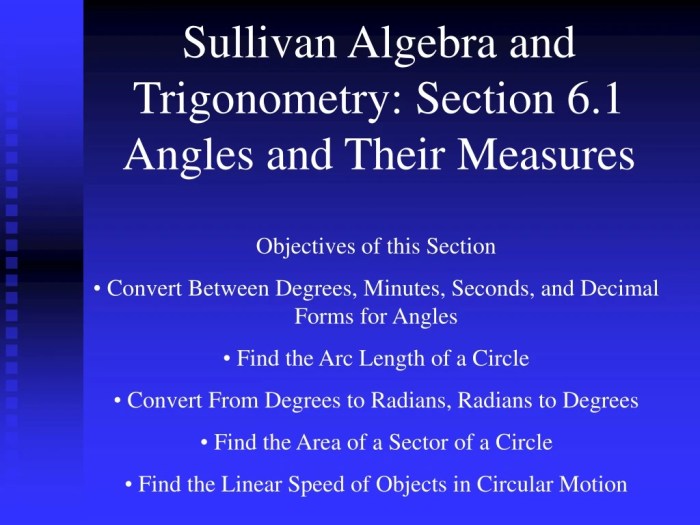 Sullivan algebra and trigonometry 11th edition